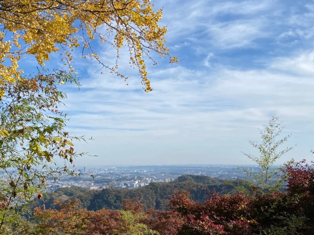 高尾山から撮った景色