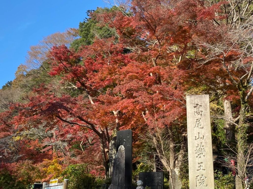 高尾山の紅葉の写真