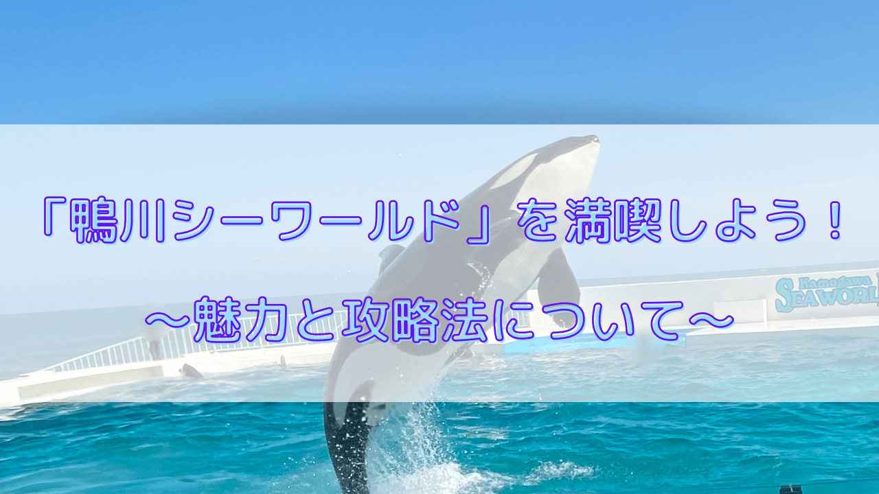 千葉県観光 鴨川シーワールドの攻略法を伝授 ホテルもご紹介します かえちのお財布