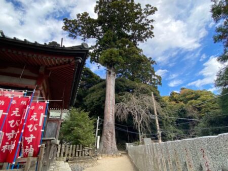 筑波山神社脇